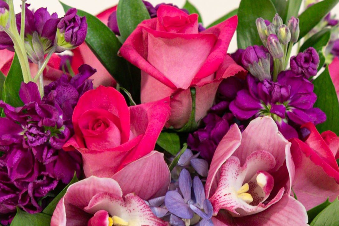 Browse and Shop Flowers by Occasion | French Florist