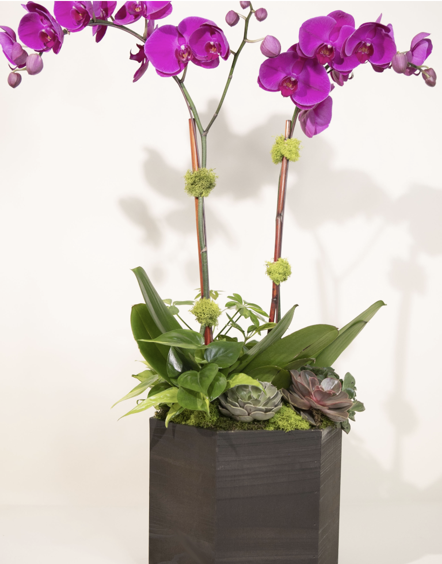 Best Selling Flowers