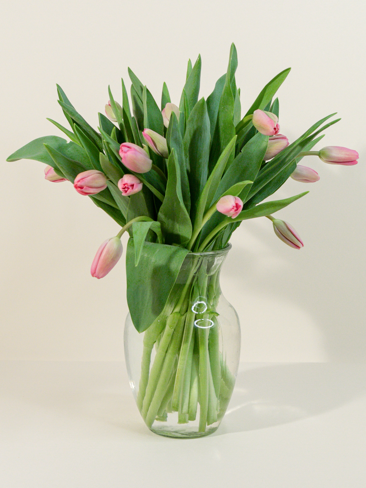 Fresh Cut Tulips: Elevate Your Floral Arrangements