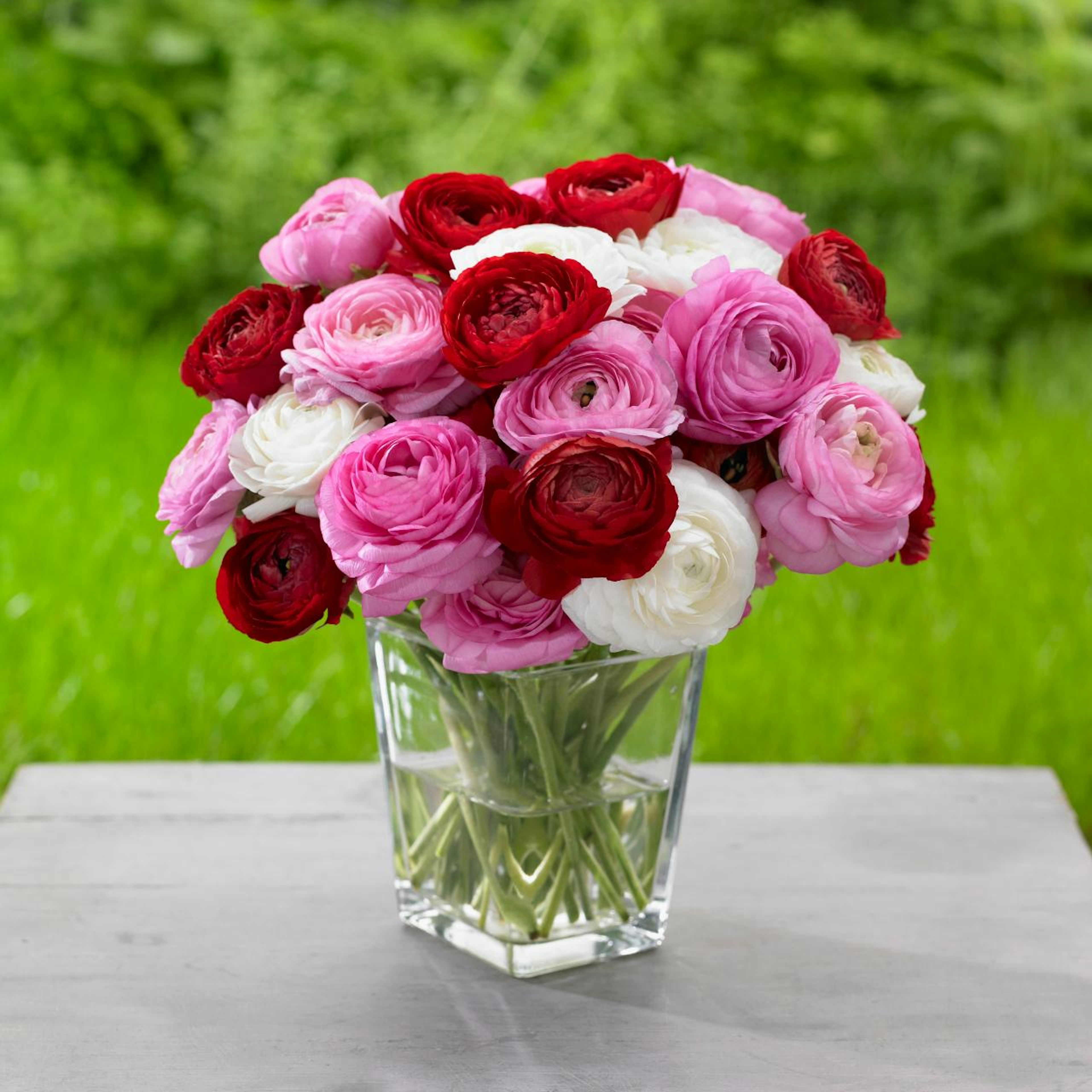 The Secret to Long-Lasting Fresh Cut Flowers