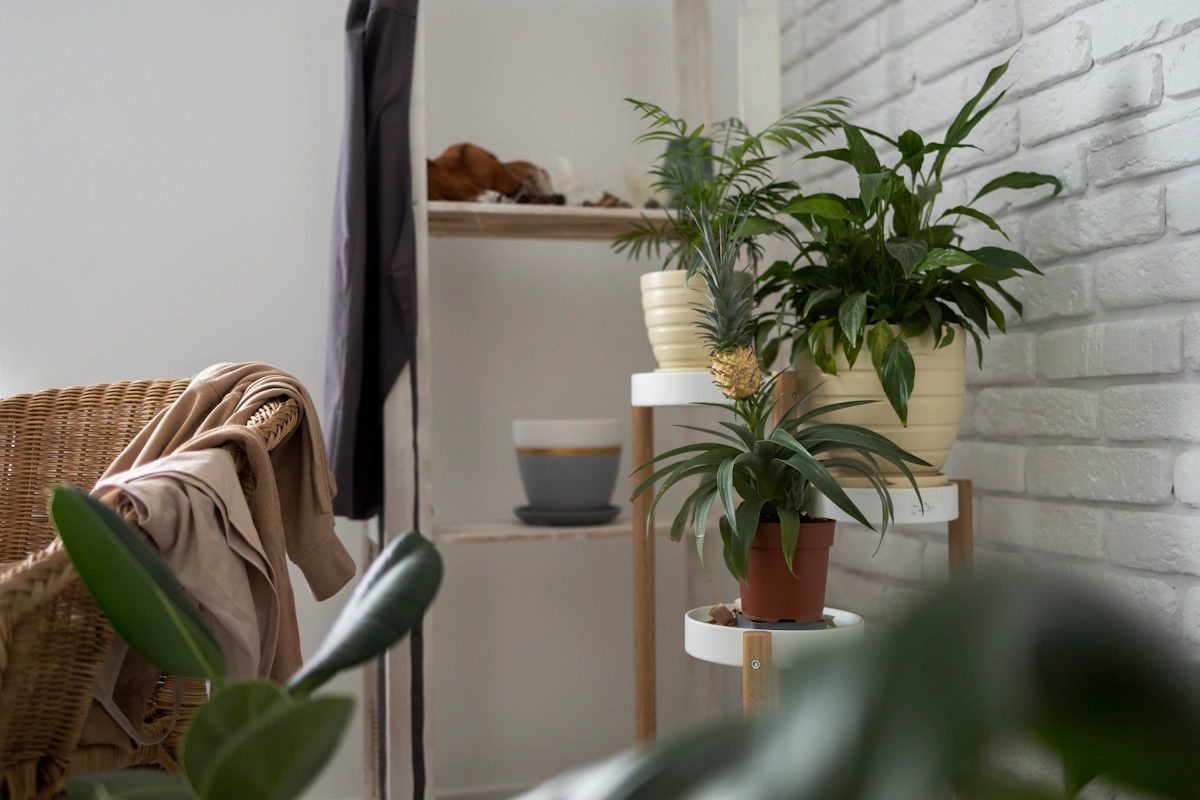 Beginner-Friendly Indoor Plants: How to Care for Low-Maintenance Potted Greens