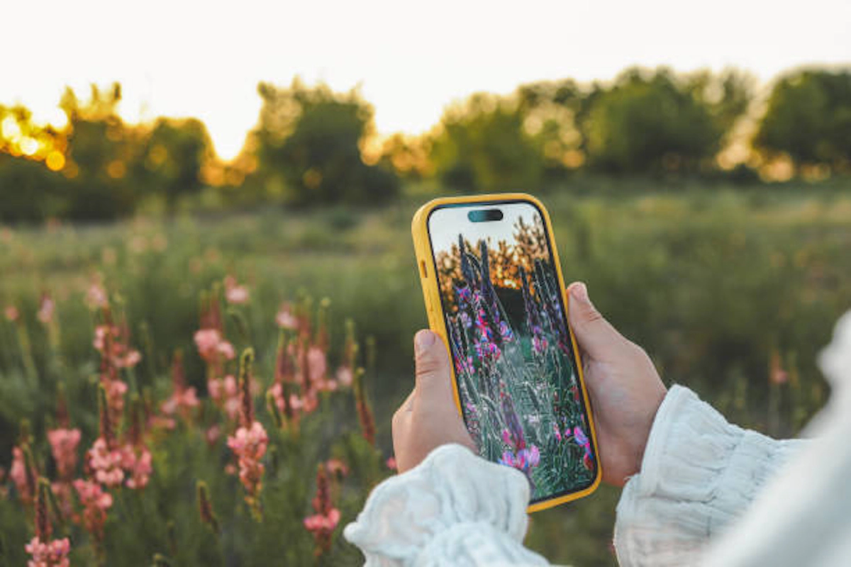 EXPLORE THE WORLD OF FLOWERS WITH THESE HANDY ID APPS