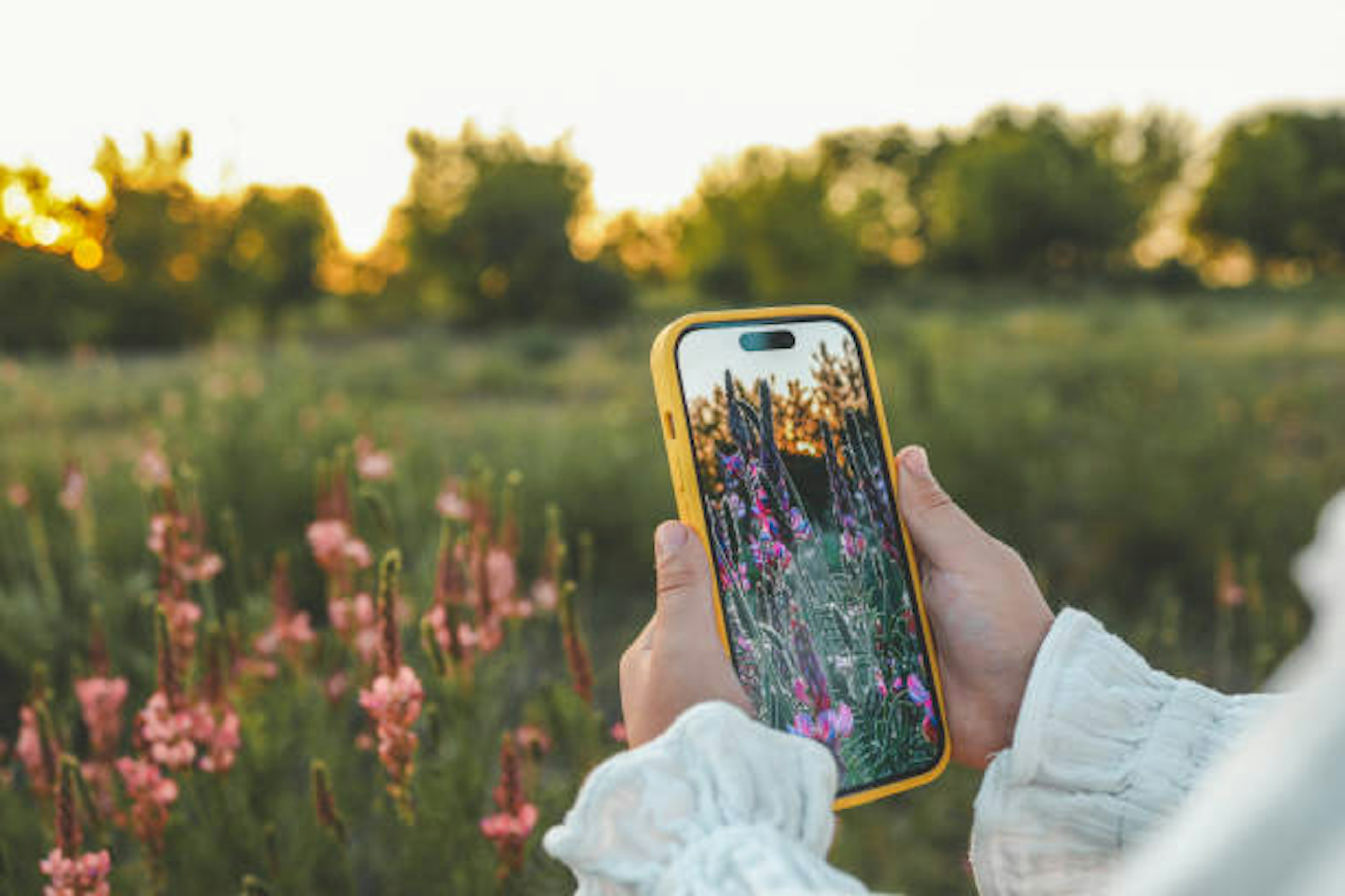 EXPLORE THE WORLD OF FLOWERS WITH THESE HANDY ID APPS