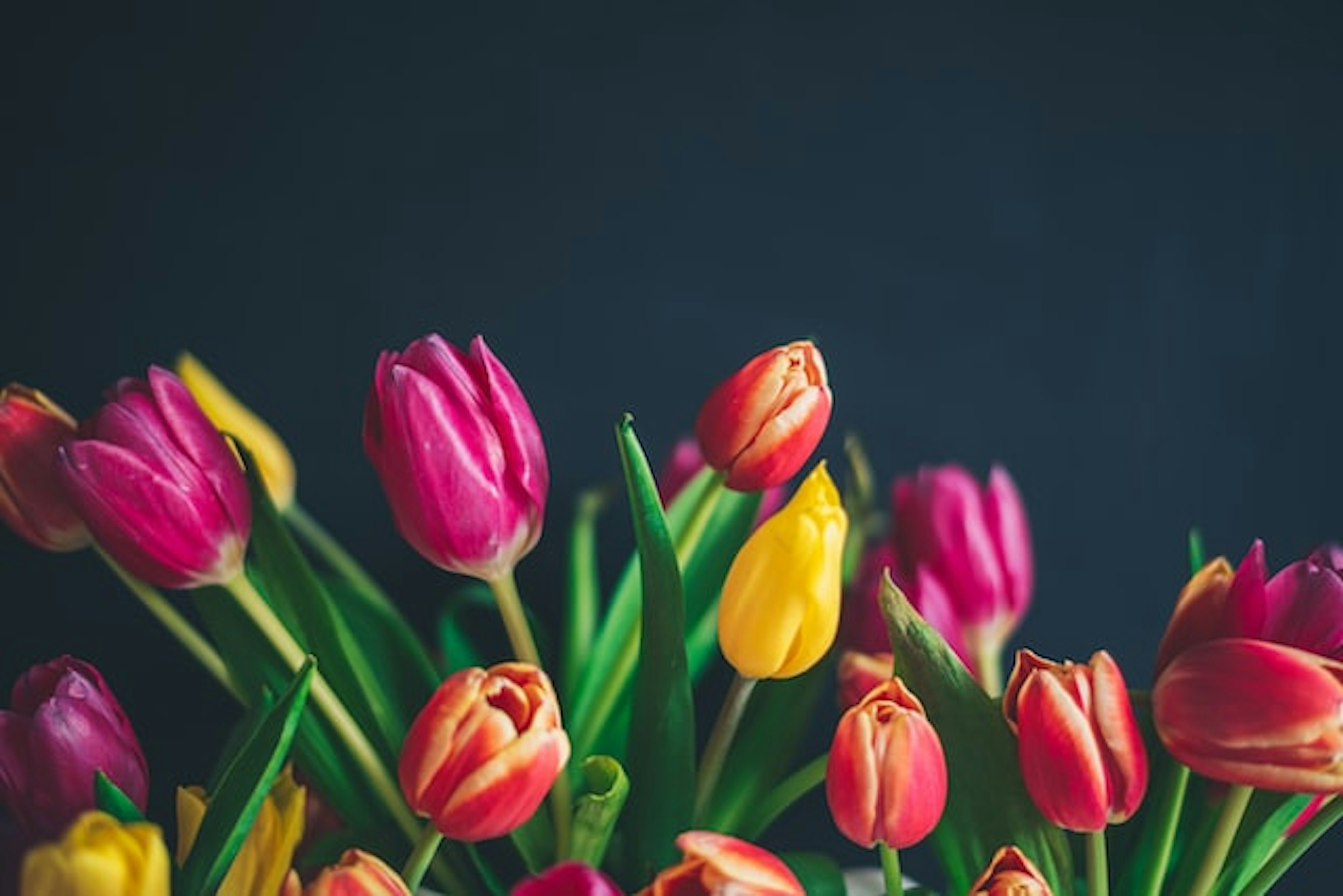 Your Guide to Hypoallergenic Flowers