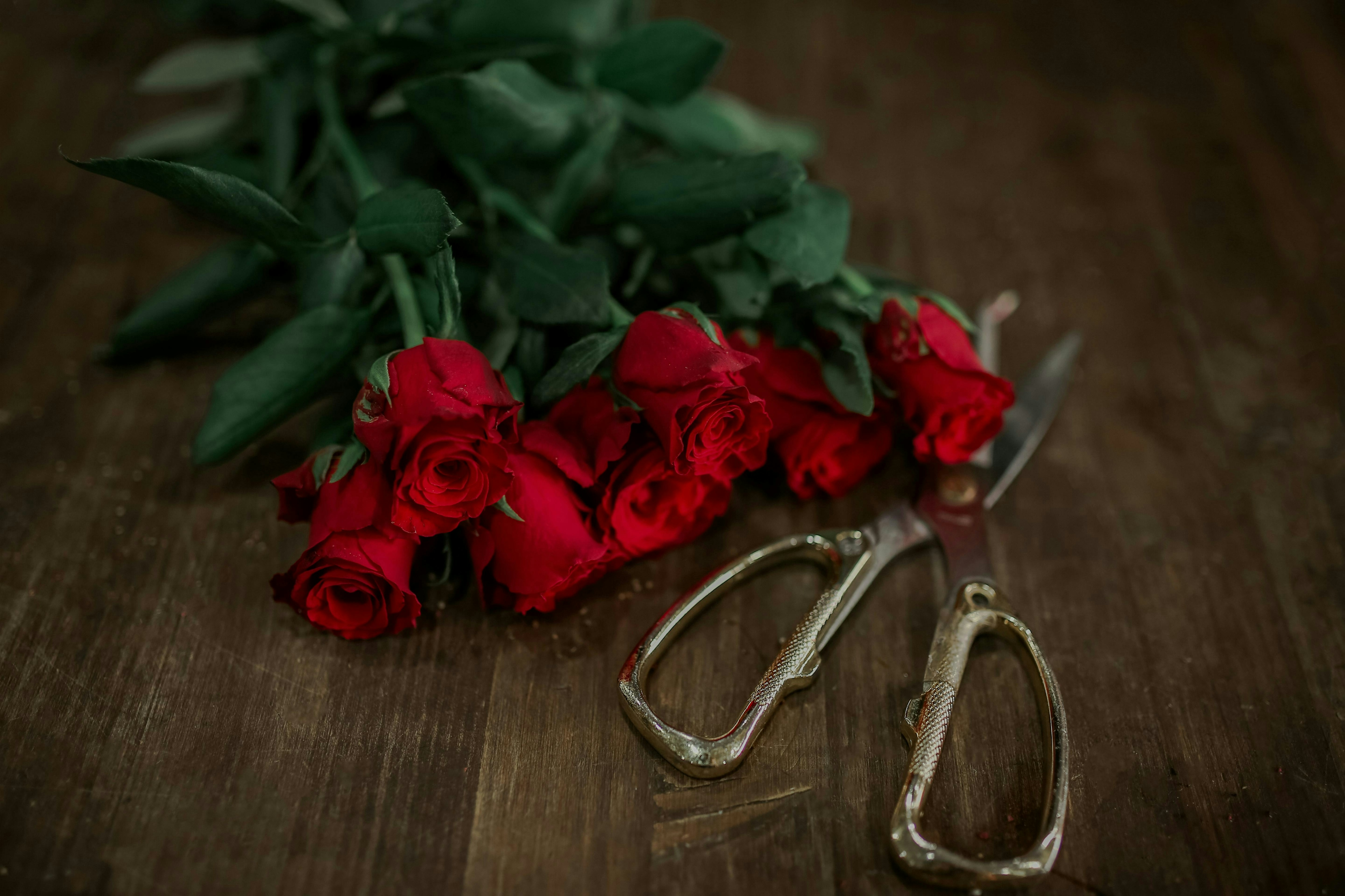 Can Household Scissors Be Used to Trim Fresh Cut Flower Stems?