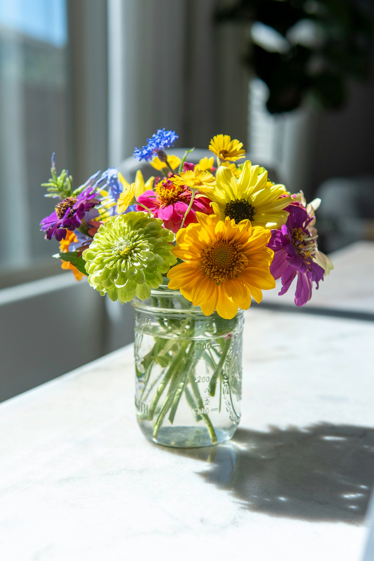 Pruning Shears vs. Tabletop Stem Cutters: Find the Perfect Tool for Fresh Flowers