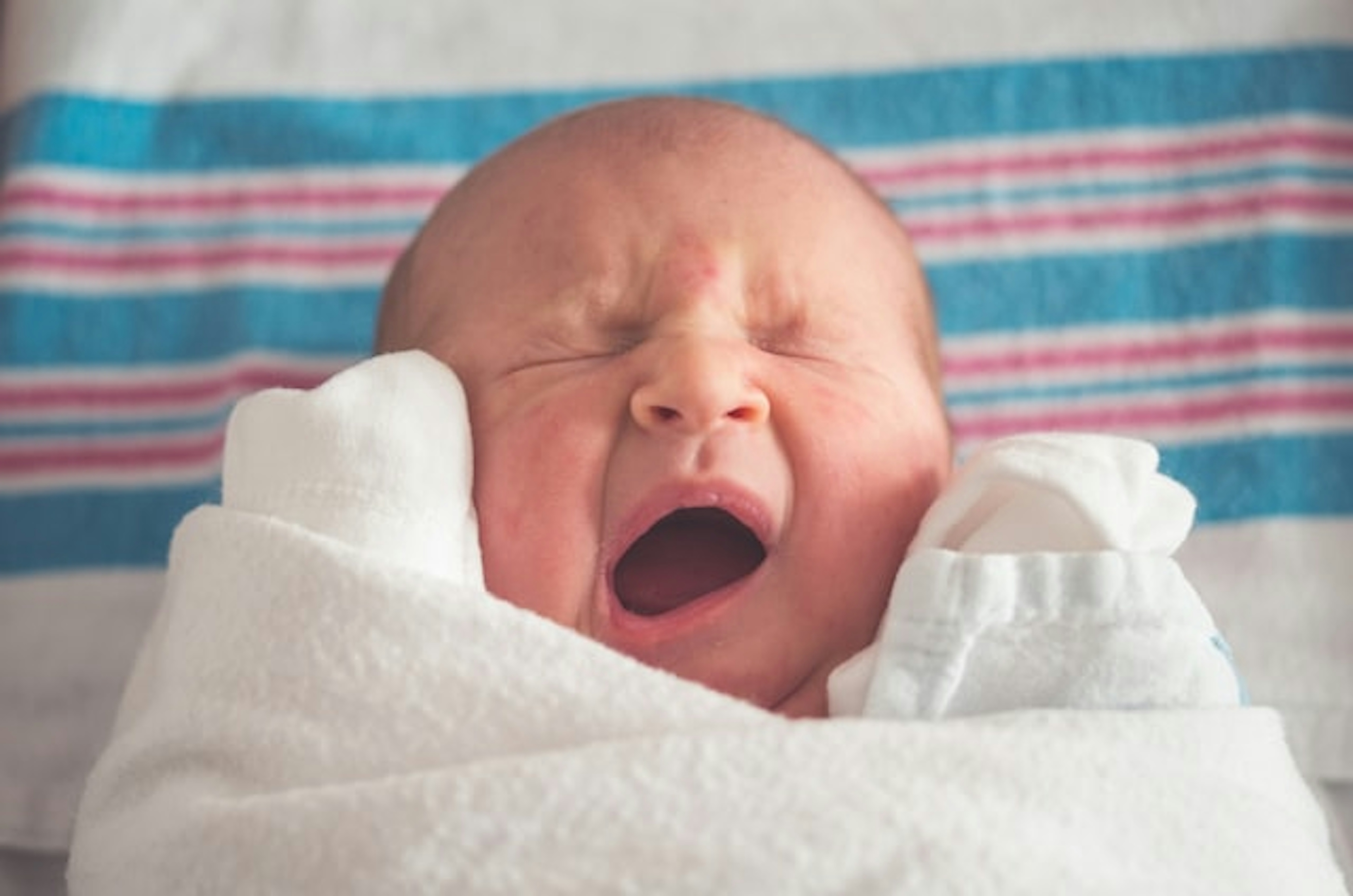 Hypoallergenic Flowers for New Babies