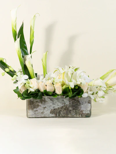 Secret Garden of Calla Lilies