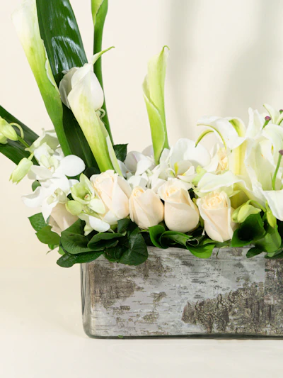 Secret Garden of Calla Lilies