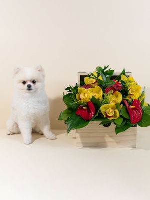 Blackbeard's Treasure Chest