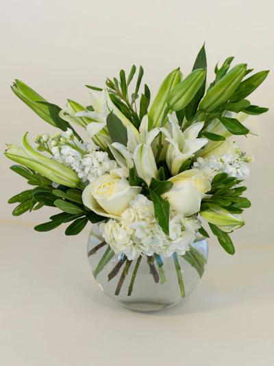 A Winter White Lilies
