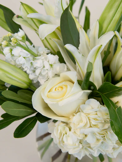 A Winter White Lilies