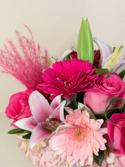 A Cloud of Pink Blooms