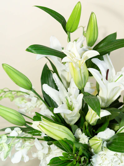 A Stunning White Elegance