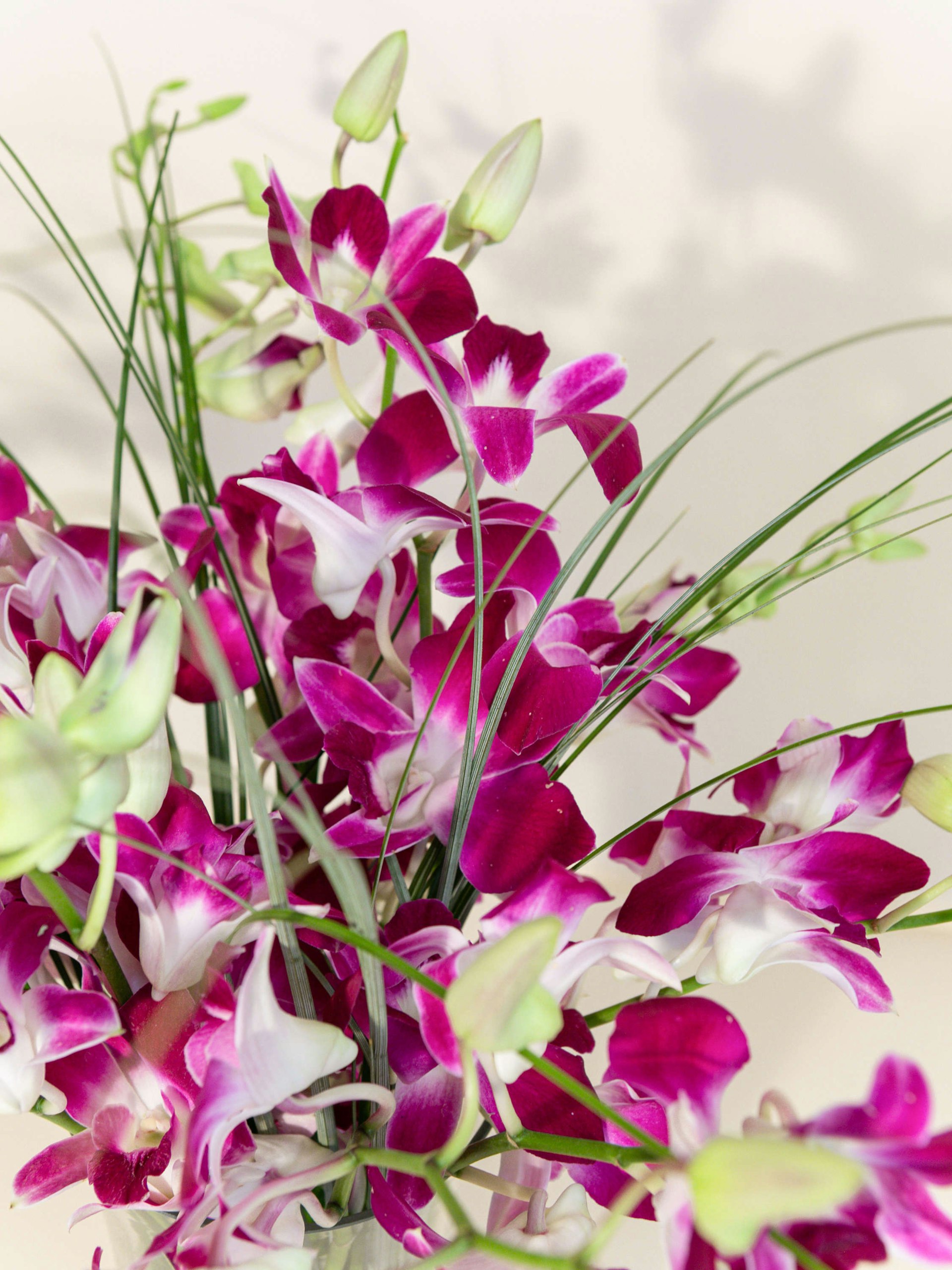 Floral Arrangements French Florist Los Angeles California 90035