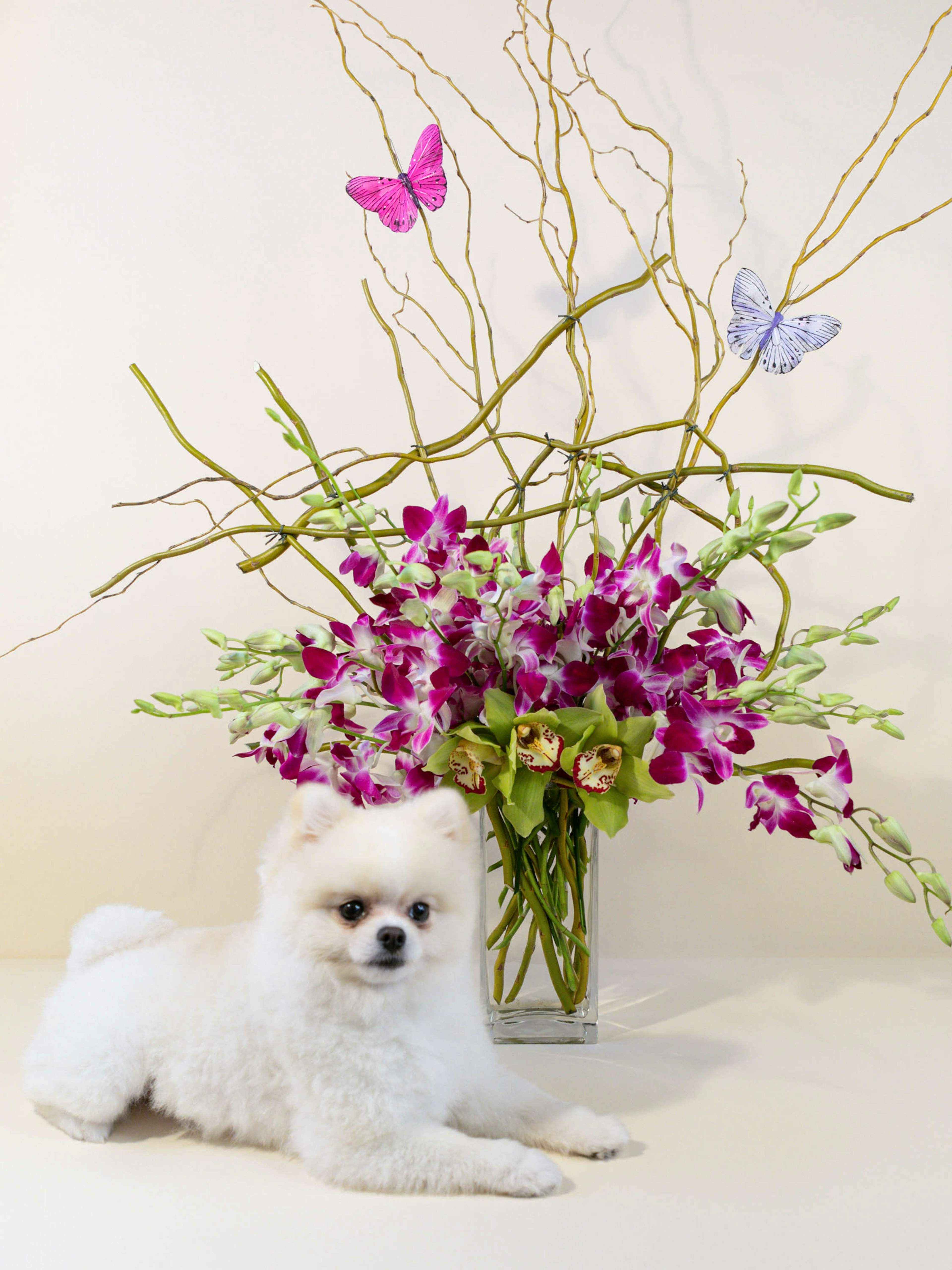 Purple Orchid Majesty Mother's Day Bouquet Floral Arrangements