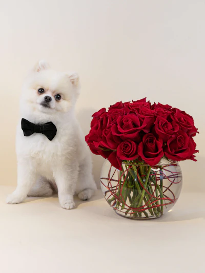 A Cluster of Romantic Red Roses