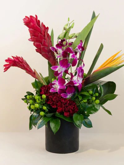 A Simple Tropical Trio