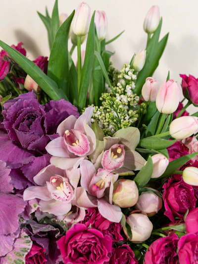 Beauty and the Season