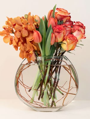 Orchids and Tulips