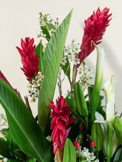 Red White and Green Artistry