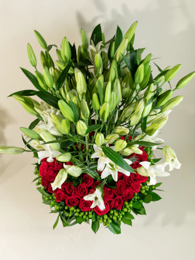 Chambers of the Heart