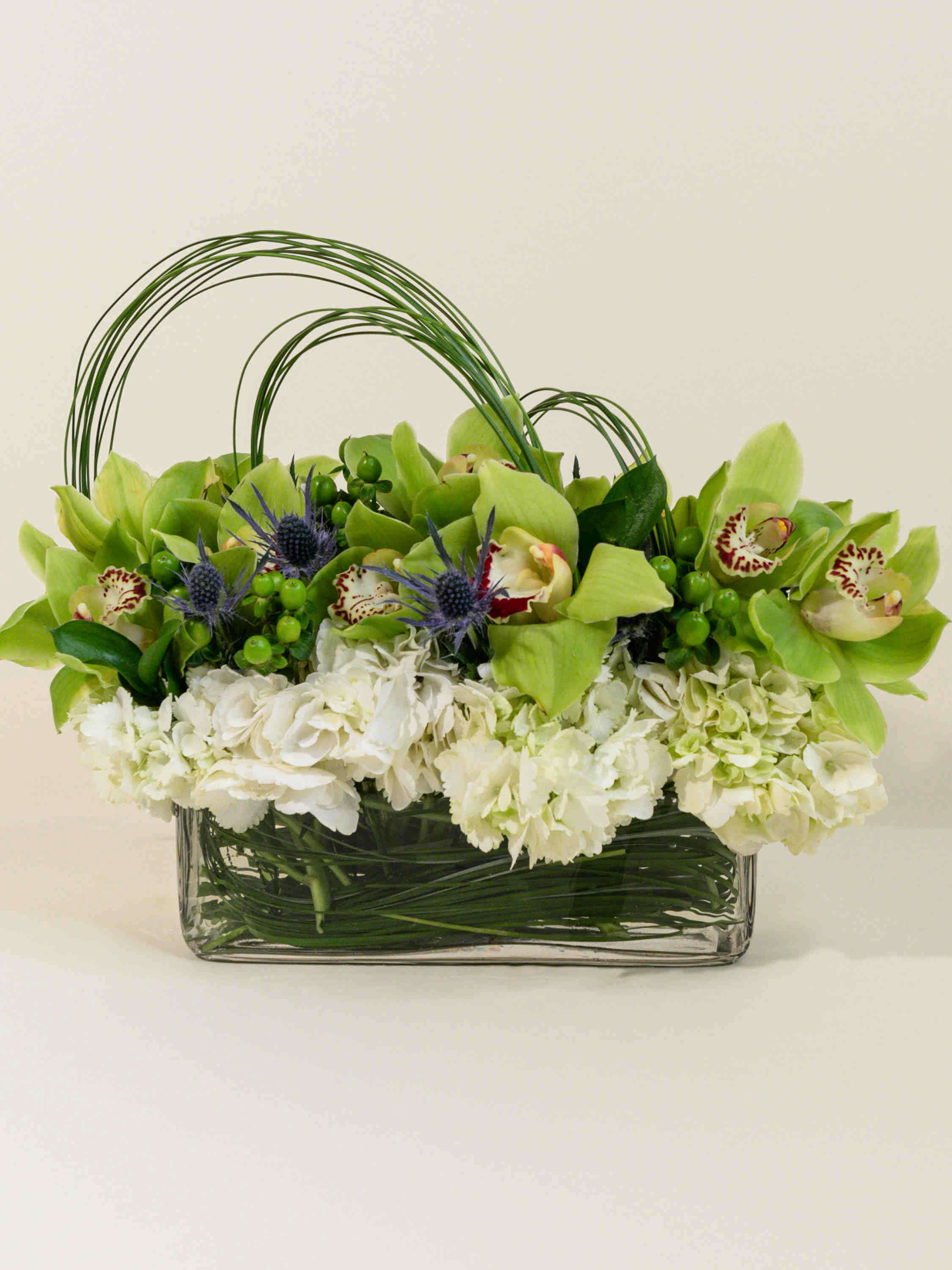 Green Cymbidium Orchids & Hydrangea