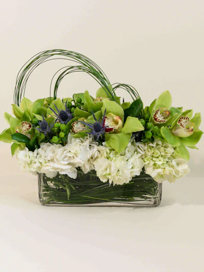 Green Cymbidium Orchids & Hydrangea
