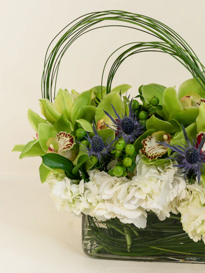 Green Cymbidium Orchids & Hydrangea