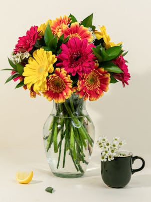 Gerbera Daisy Vase