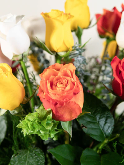 Mixed colored Roses