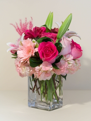 A Cloud of Pink Blooms