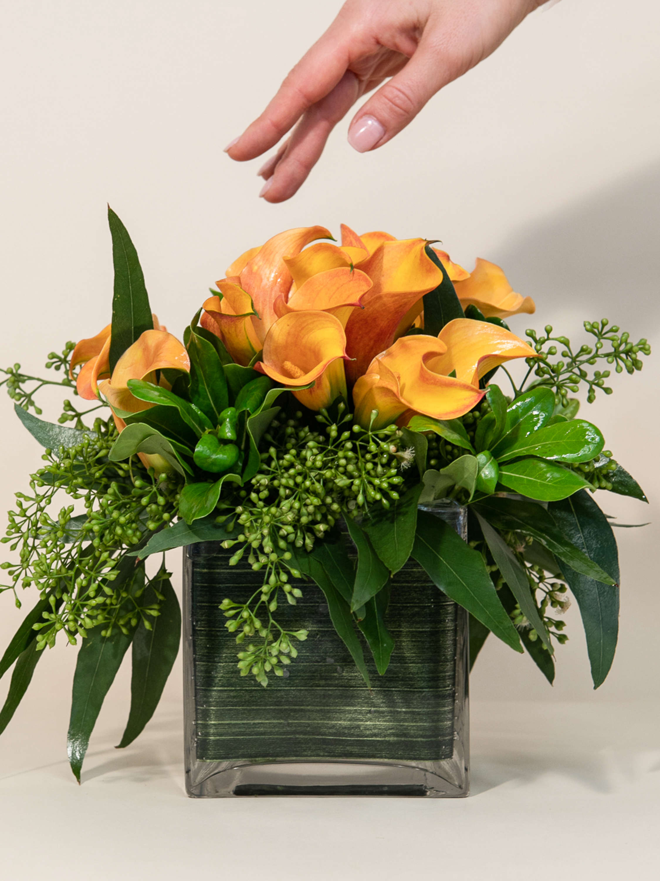 A Dreamy Garden of Mini-Calla Lilies