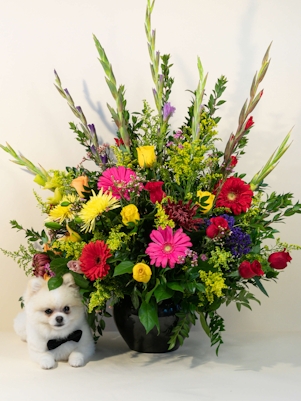 A Most Memorable Tribute