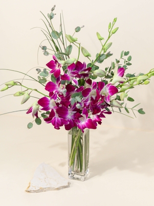 Dendrobium Orchid Vase