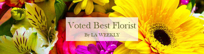 Baton Rouge Florist - Flower Delivery by Hunt's Flowers