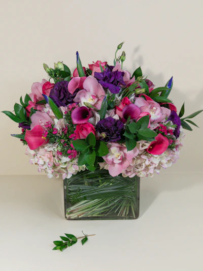 Heaven Purple and Pink