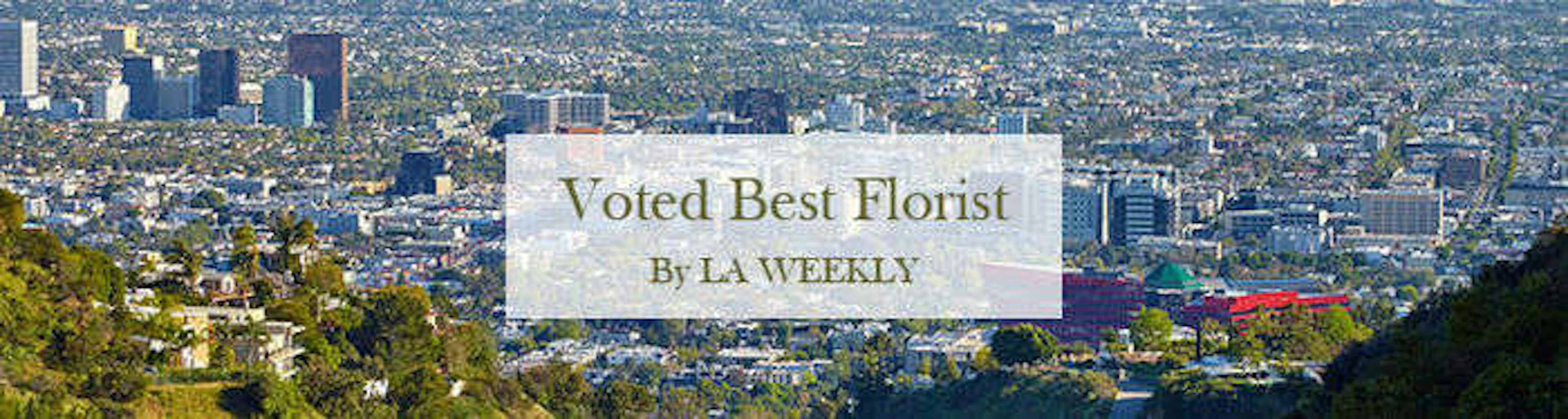 Flower Delivery North Hollywood Same Day Delivery French Florist