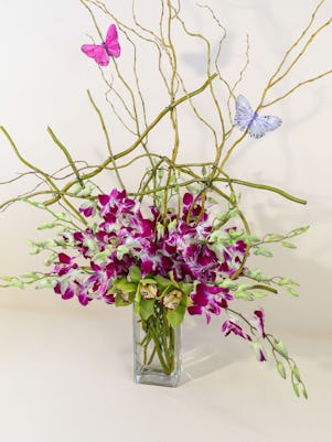 Purple Dendrobium Orchid Majesty