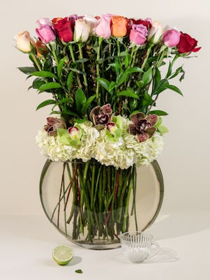 Rainbow Roses, Cymbidium Orchids & Hydrangea