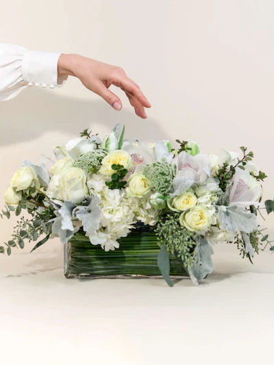 Thoughtful Expressions