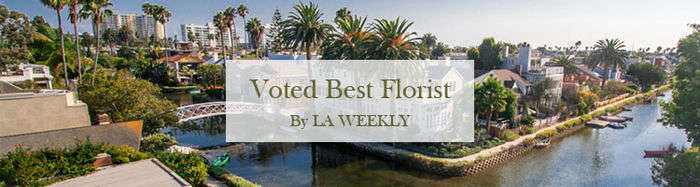 Flower Delivery Venice Same Day Delivery French Florist