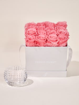 Square Pink Roses