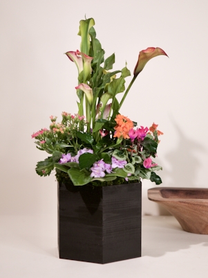 Blooming Garden Container