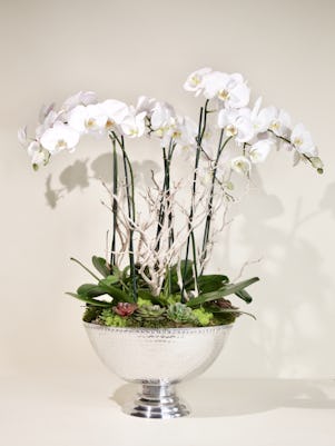 Bowl of 6 White Phalaenopsis Orchids
