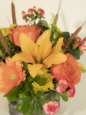 A Burst of Sunshine