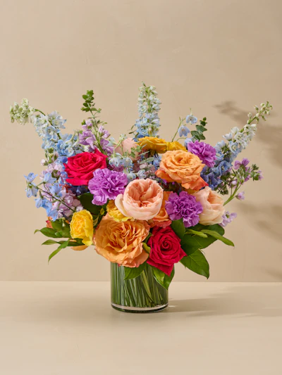 NEW - Painter's Muse