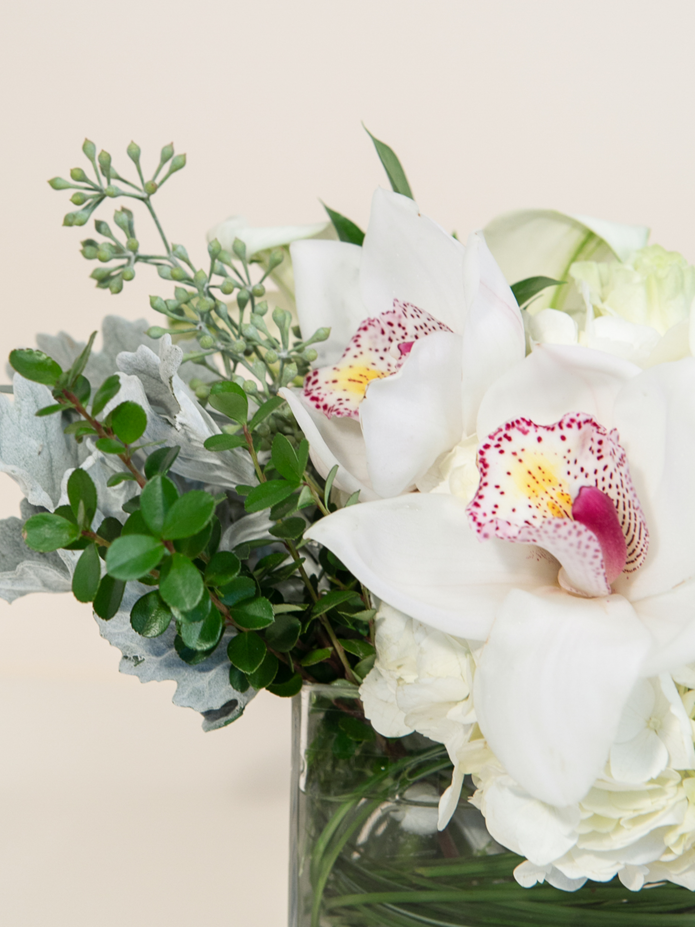Orchids for Mom: Exotic orchids in a stylish cube for Mother's Day - Flowers  Los Angeles, Same-day Flower Delivery LA