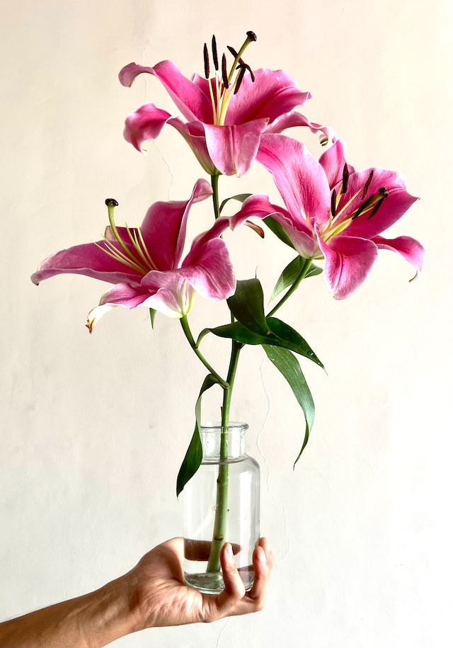 Lilies in a vase
